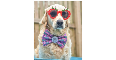 Summer has finally arrived at Franky's Bowtique!