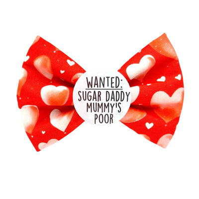 Funny pet bow tie for valentine's day. red colour bow tie, with red hearts on it. Badge in the middle that reads "WANTED: Sugar Daddy Mummy's poor