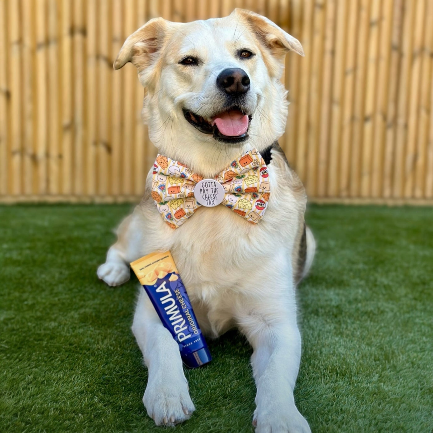 Gotta pay the cheese tax Badge Bow®