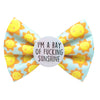 Summer themed pet bow tie. Light blue background colour, with smiling sun faces. Badge in the middle that says "I'm a ray of f**king sunshine"