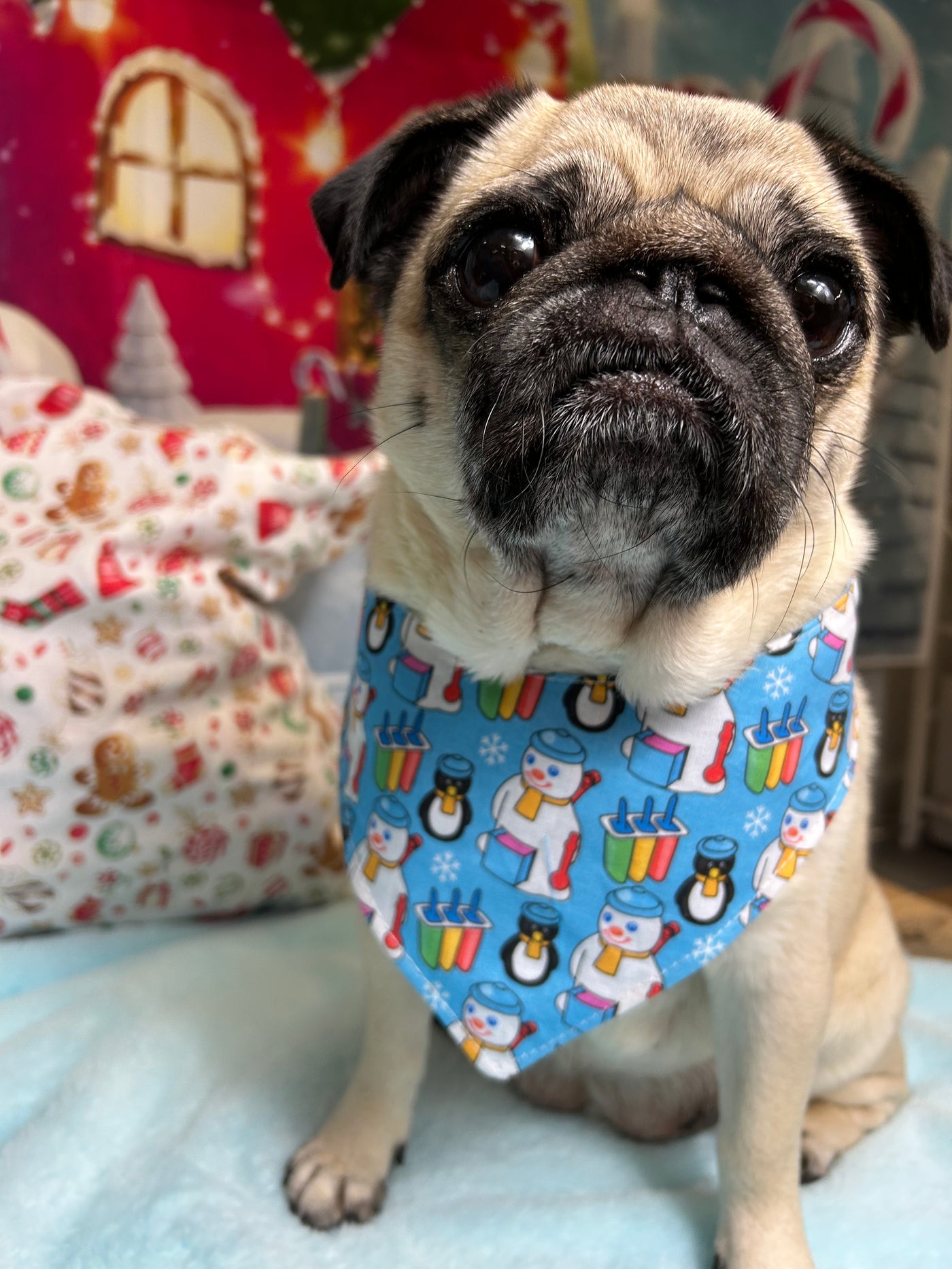 Frosty Snowman Adjustable Bandana