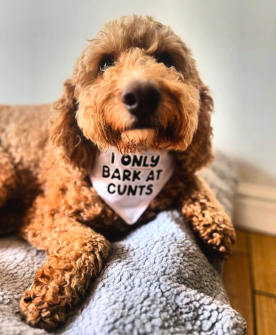 I only bark at cunts Adjustable Bandana