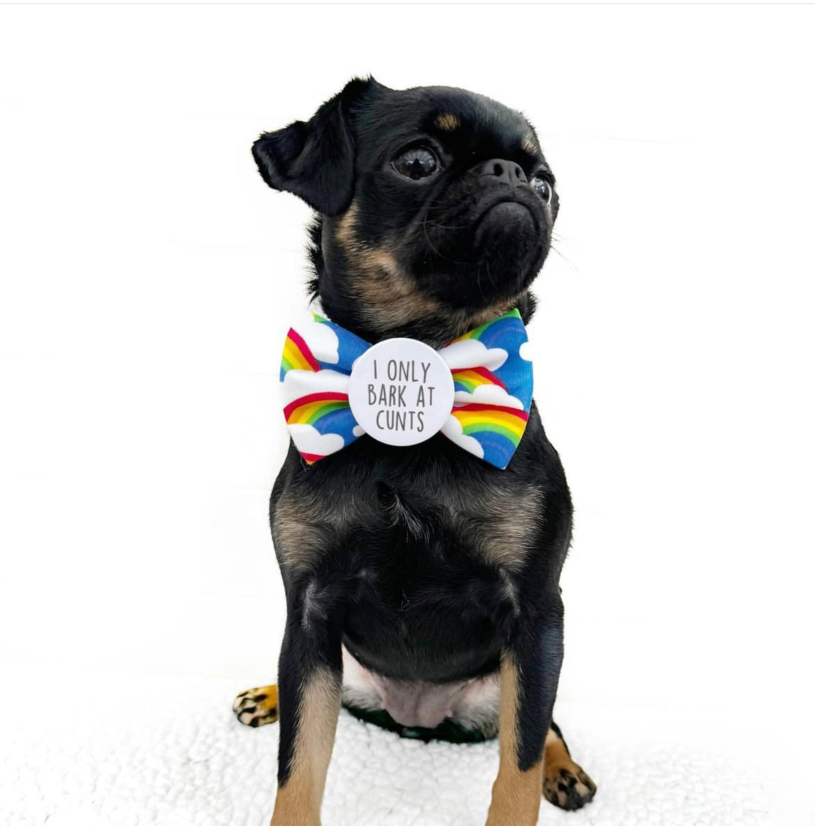 I only bark at Cunts Badge Bow®