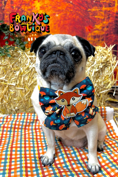 Mr. Fox Sailor Bow