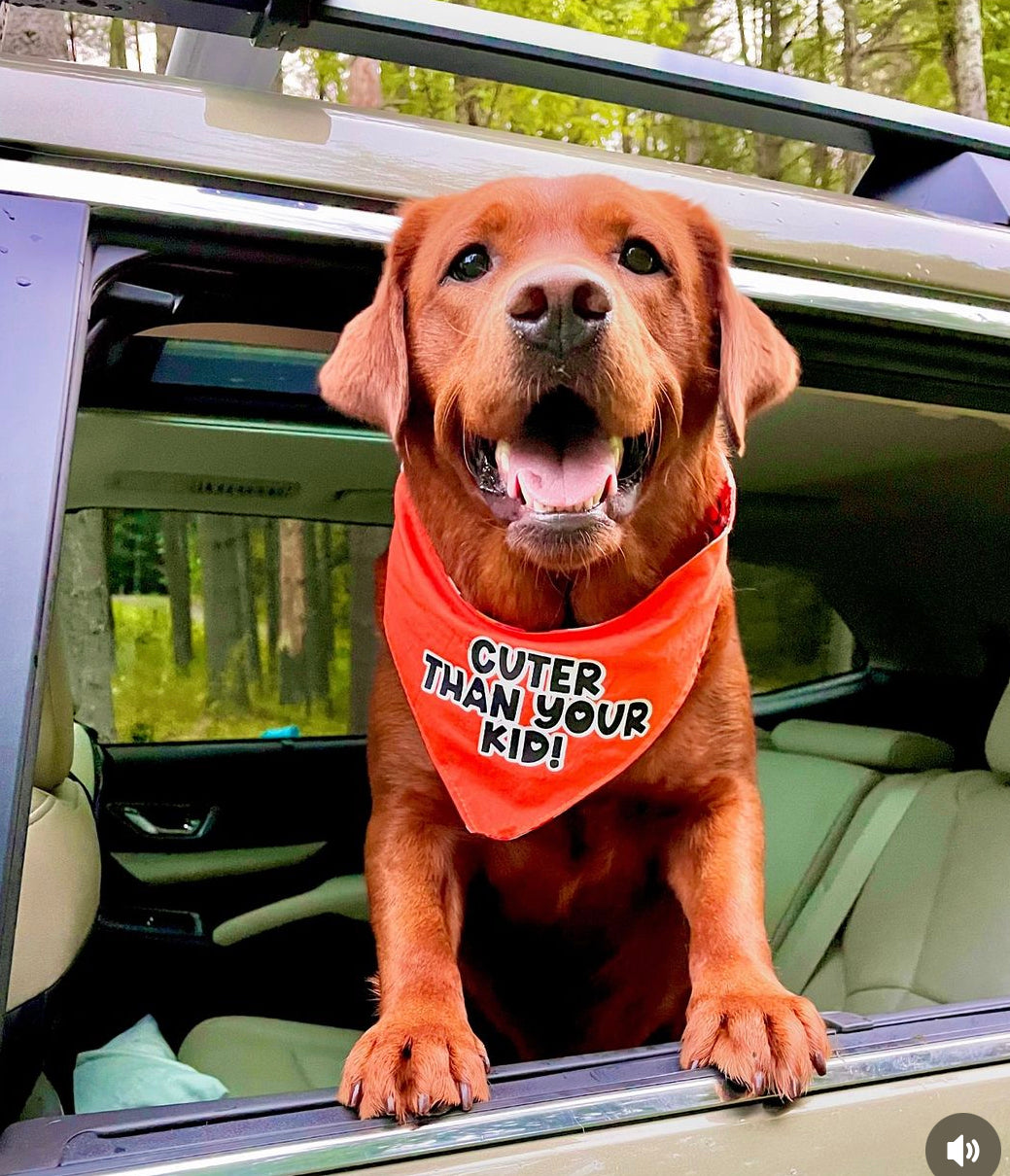 Cuter than your kid Adjustable Bandana