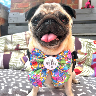 Chill the f*ck out Sailor Badge Bow®