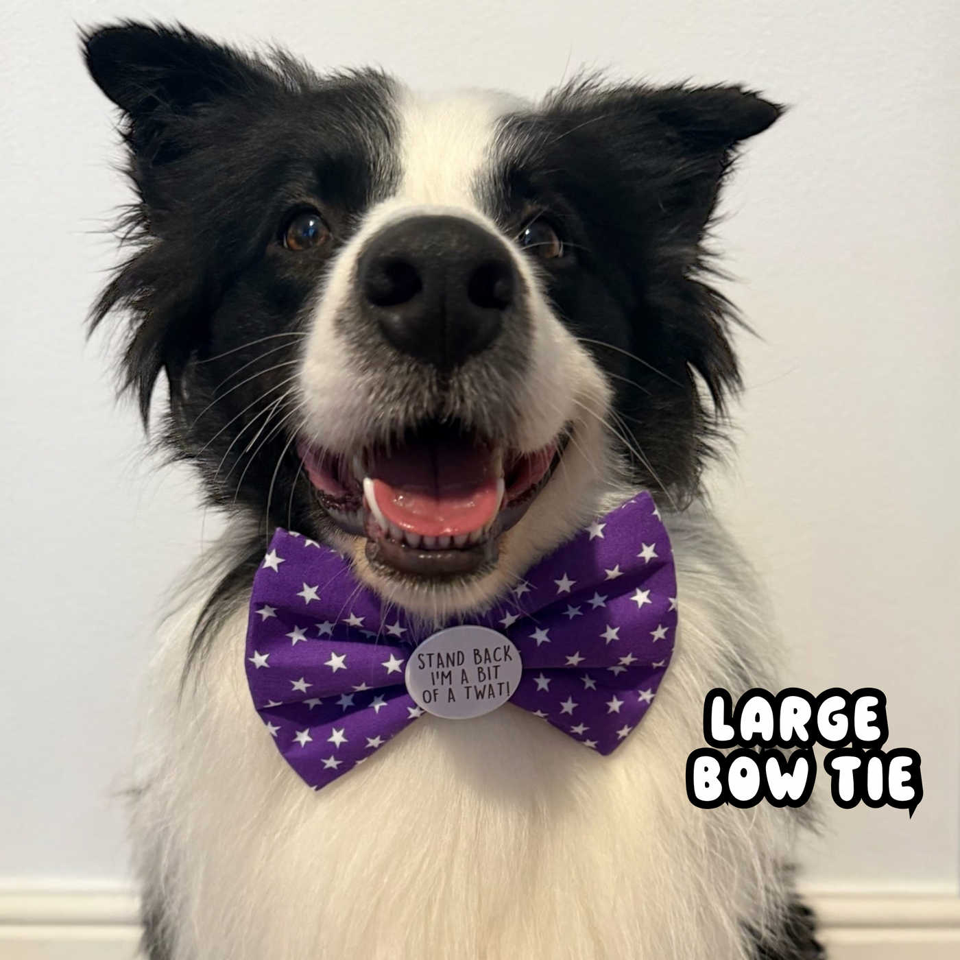 Stand Back I am a bit of a Tw*t Badge Bow®