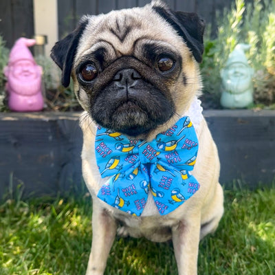 Nice T*Ts Sailor Bow