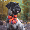 Sailor Bow - Ginger Tartan