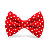 Red pet bow tie with white polka dots 
