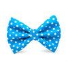 Blue pet bow tie with white polka dots 