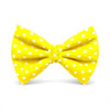 Yellow pet bow tie with white polka dots 