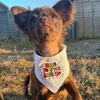 Sweary Adjustable dog Bandana - Here to Fuck Shit Up