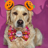A golden retriever dog wearing a Halloween Bow Tie. a pink and orange patterned bow tie with a 'Scream Queen' badge, and an orange pumpkin. 