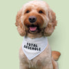 Sweary Adjustable dog Bandana - Total Arsehole