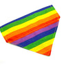 Rainbow Pride Slip-on Pet Bandana